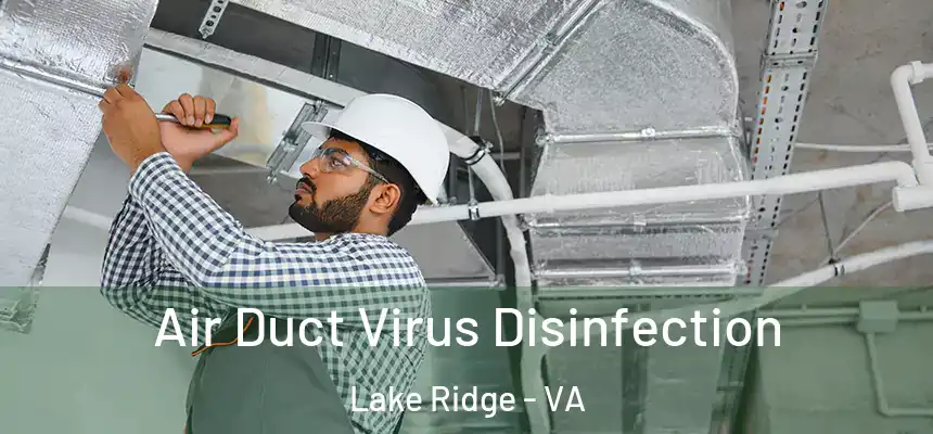  Air Duct Virus Disinfection Lake Ridge - VA