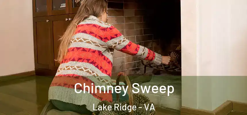  Chimney Sweep Lake Ridge - VA