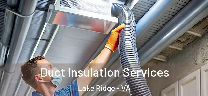 Duct Insulation Services Lake Ridge - VA
