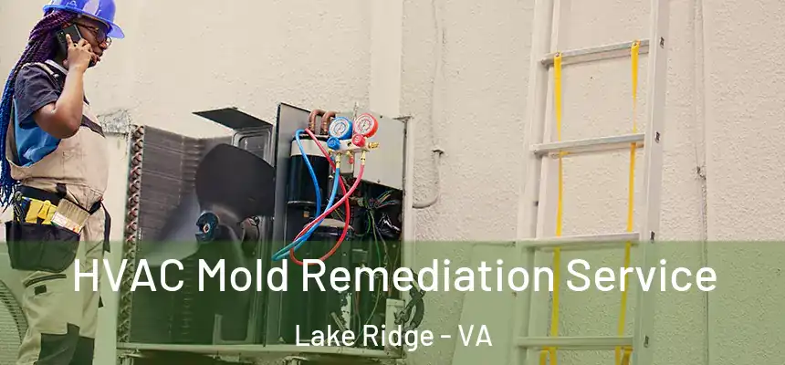  HVAC Mold Remediation Service Lake Ridge - VA