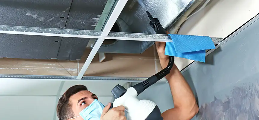 Our Air Duct Rodent Removal Services in Lake Ridge, VA