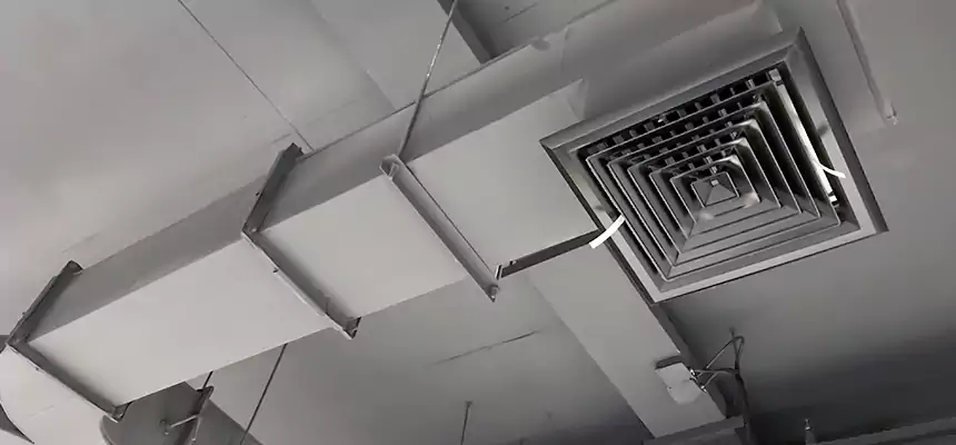 Restorative Allergy Relief Vent Cleaning – Coil, Blower & Housing Detail in Lake Ridge