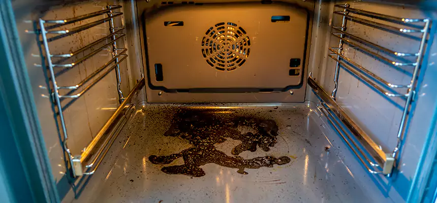 Our Dryer Vent Mold Cleaning Services in Lake Ridge, VA