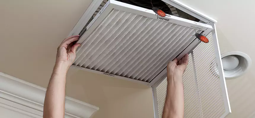 Our Insect Removal from Air Ducts Services in Lake Ridge, VA