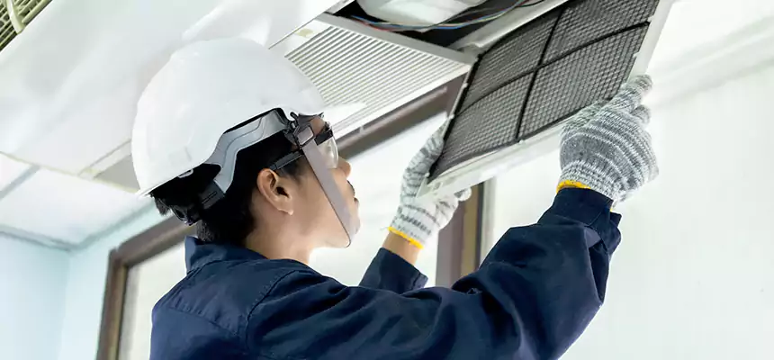 Our Mold & Mildew Removal from Air Ducts Services in Lake Ridge, VA