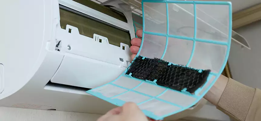 Gentle Ductwork Odor-Control Pet Dander Duct Cleaning in Lake Ridge, VA