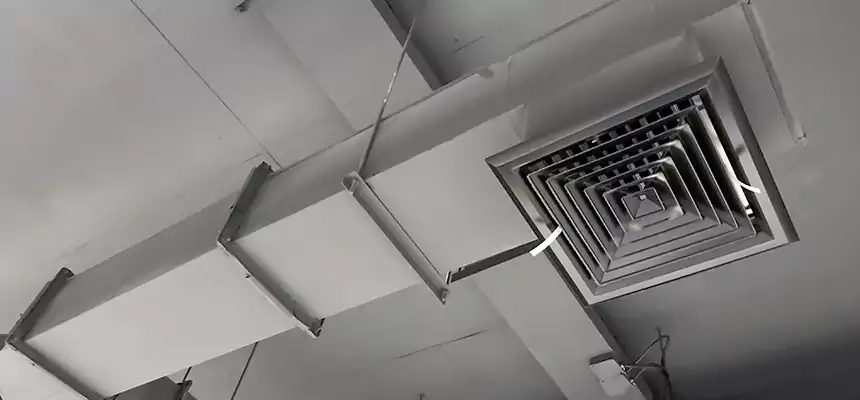 Our Rodent Droppings In Vents Services in Lake Ridge, VA