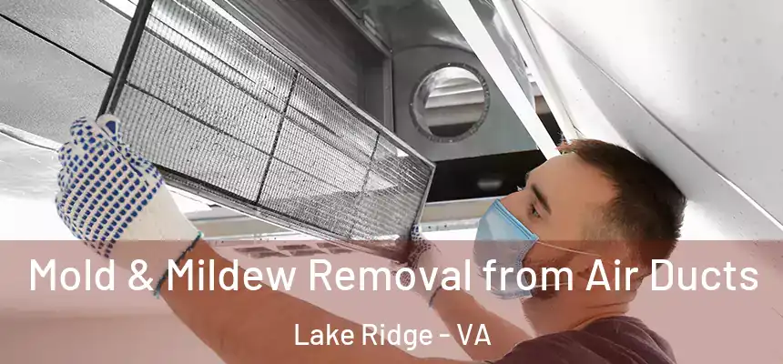  Mold & Mildew Removal from Air Ducts Lake Ridge - VA