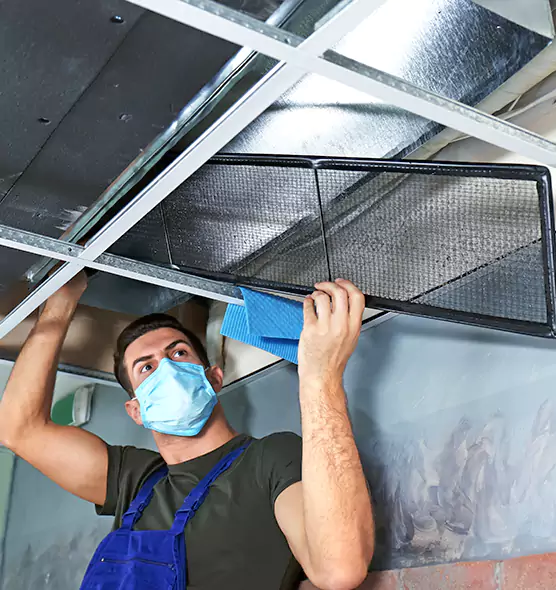 Professional Air Duct Pollen Cleaning in Lake Ridge, VA
