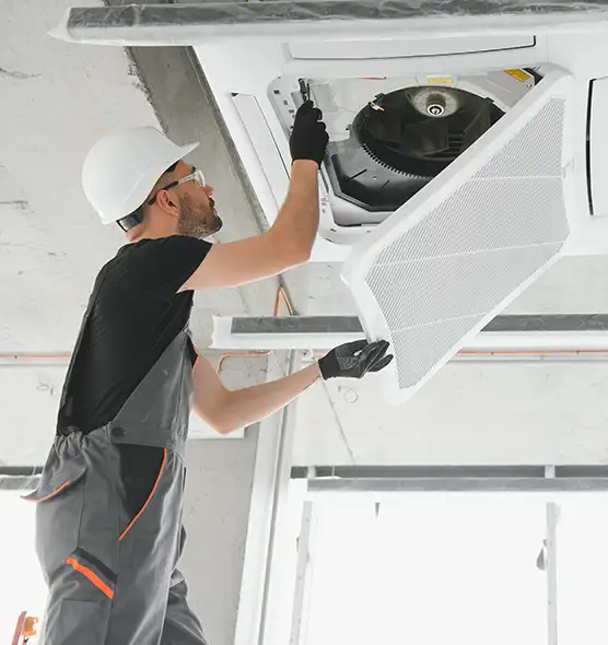 About Air Duct Rodent Removal in Lake Ridge, VA