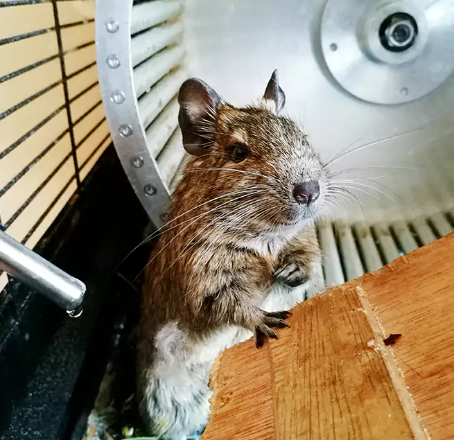 Why Homeowners & Businesses Trust Us Lake Ridge, VA?