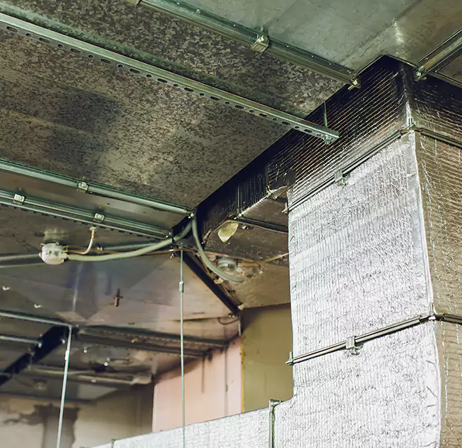 Why Homeowners & Businesses Trust Us in Lake Ridge, VA?